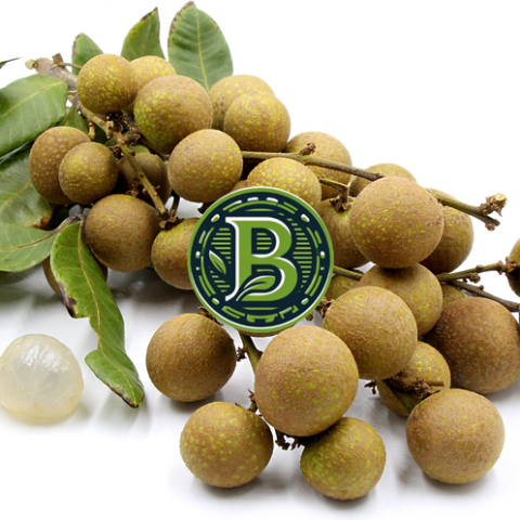 LONGAN-DIMOCARPUS LONGAN- LIVE PLANT - ALL CLIMATE - BANGALORE AGRICO